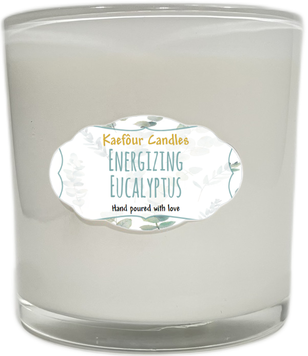 Energizing Eucalyptus - 3 Wick Candle