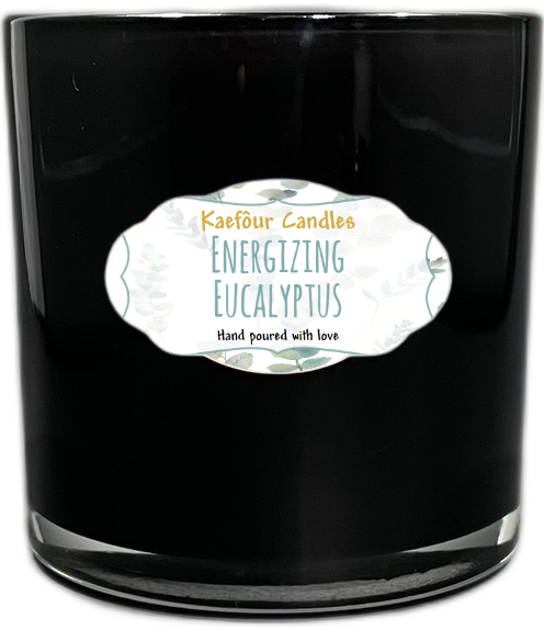 Energizing Eucalyptus - 3 Wick Candle