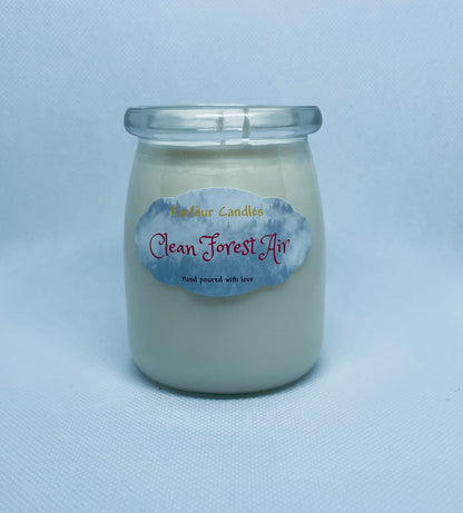 Clean Forest Air - Single Wick Candle