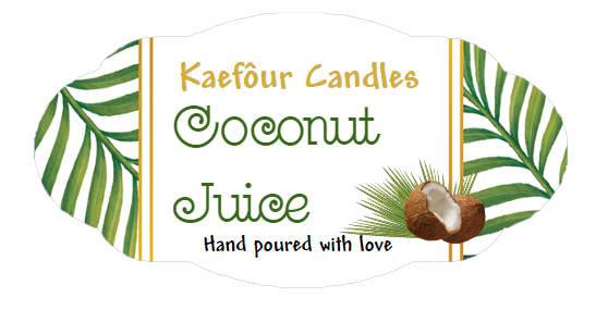 Coconut Juice - 3 Wick Candle