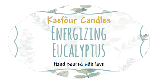 Energizing Eucalyptus - 3 Wick Candle