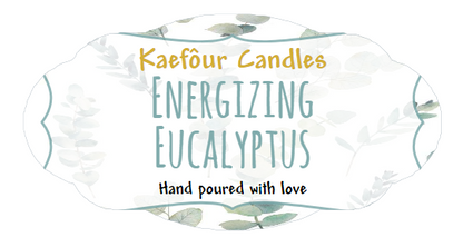 Energizing Eucalyptus - 3 Wick Candle